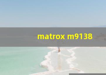 matrox m9138